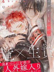 新著龙虎门漫画门派批白莲线档案封面